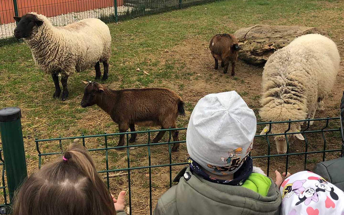 La Contea del Vignolo Fiorito - Fattoria didattica con animali a Graffignana, in provincia di Lodi