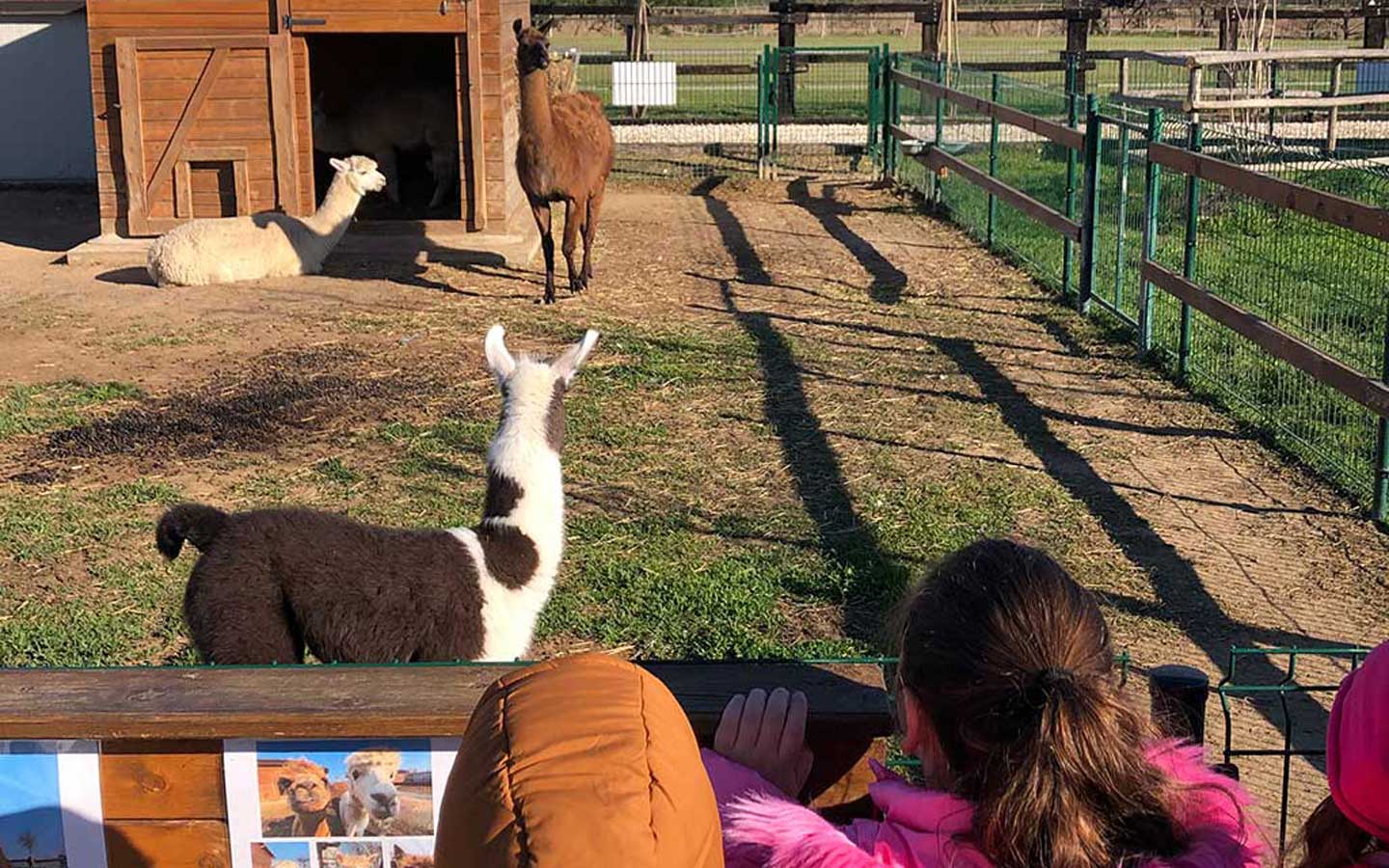 La Contea del Vignolo Fiorito - Fattoria didattica per bambini e famiglie in provincia di Lodi