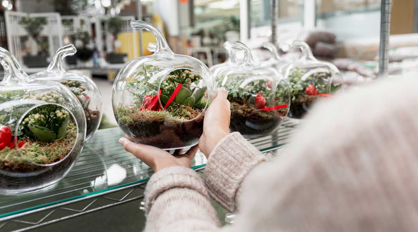 La Contea del Vignolo Fiorito - Laboratorio di creazione terrario a Lodi e provincia